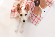 画像をギャラリービューアに読み込む, 【予約販売】ドーナツテリアブランケット