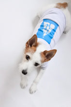 画像をギャラリービューアに読み込む, 【予約販売】フローズンお犬ツリー