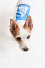 画像をギャラリービューアに読み込む, 【予約販売】フローズンお犬ツリー