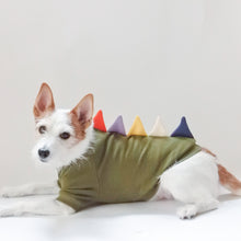 画像をギャラリービューアに読み込む, 【予約販売】野生のザウルス