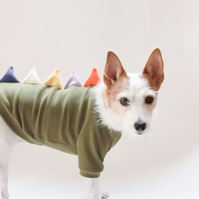 【予約販売】野生のザウルス