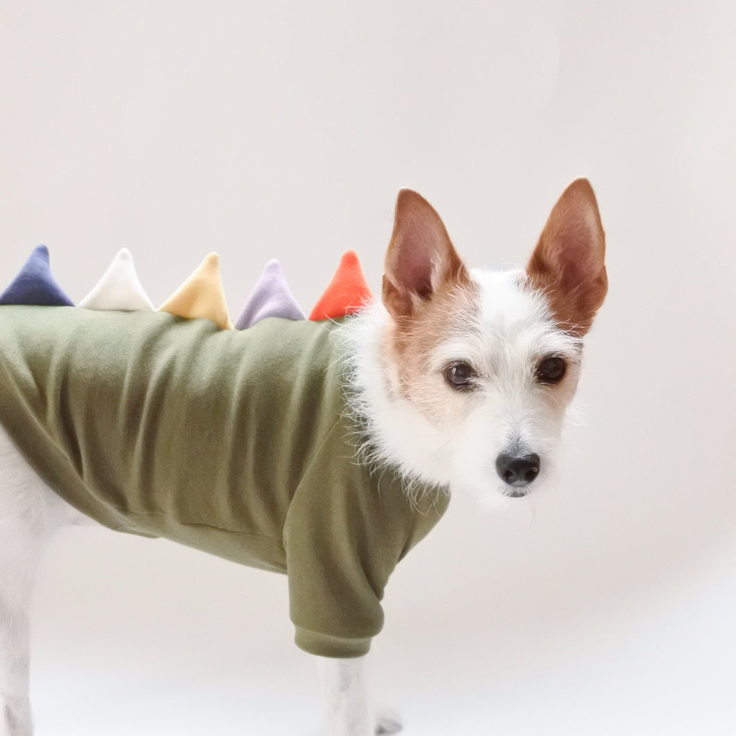 【予約販売】野生のザウルス