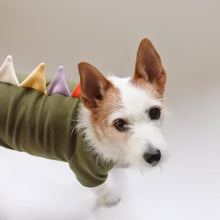 画像をギャラリービューアに読み込む, 【予約販売】野生のザウルス